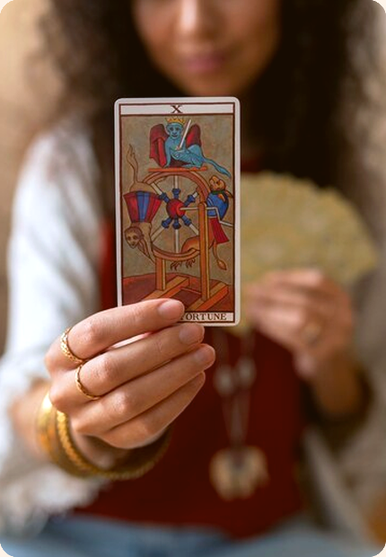 Tarot Reading at Shinseina Reiki Arena India