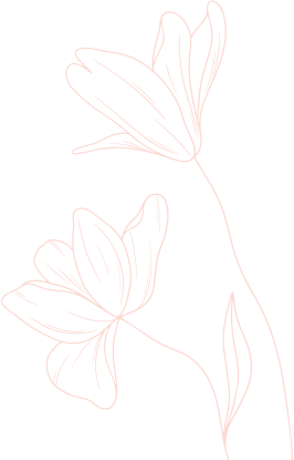 bg-image